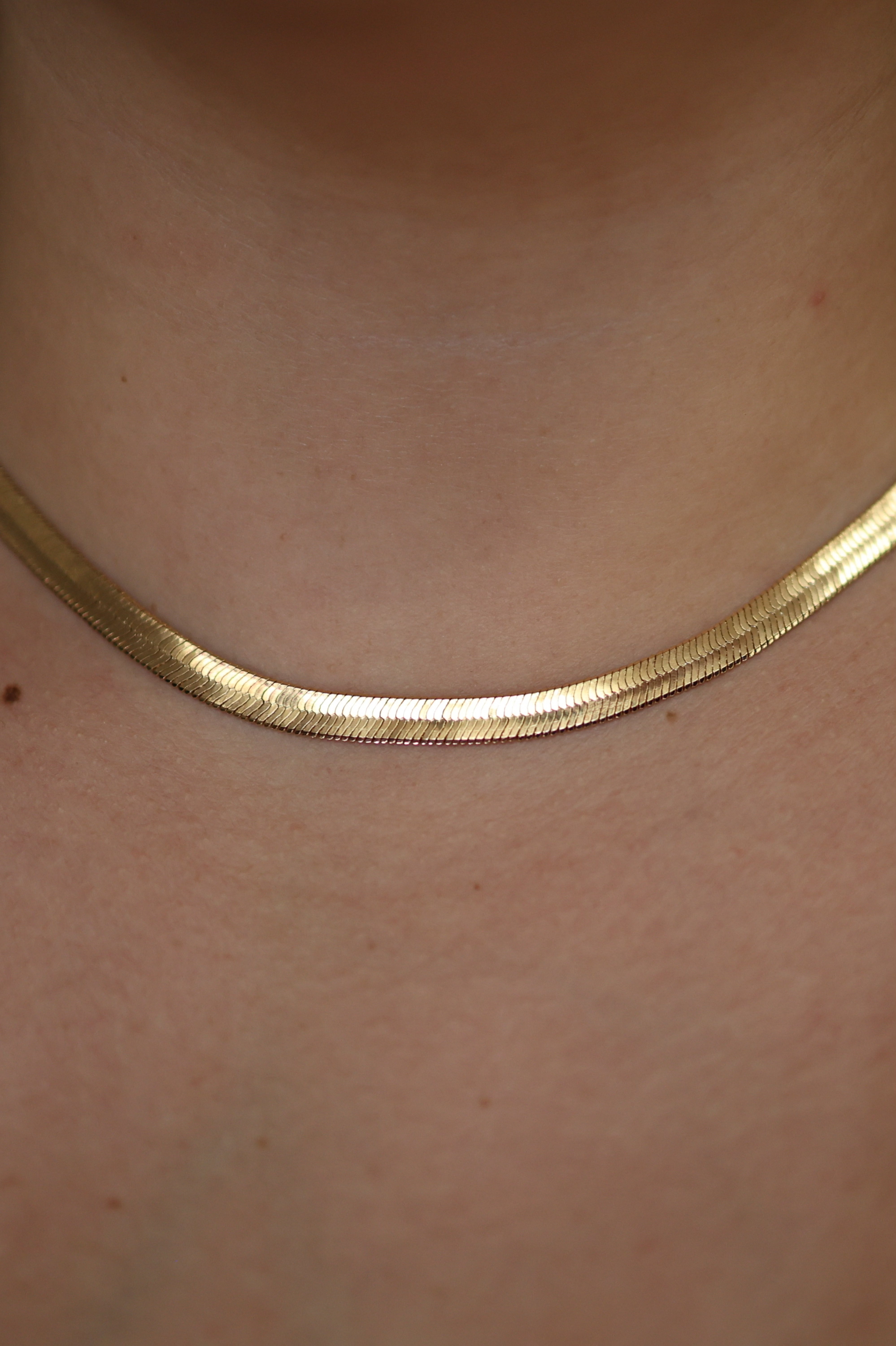 Elegante Flat Chain Necklace - Iane Jewelry