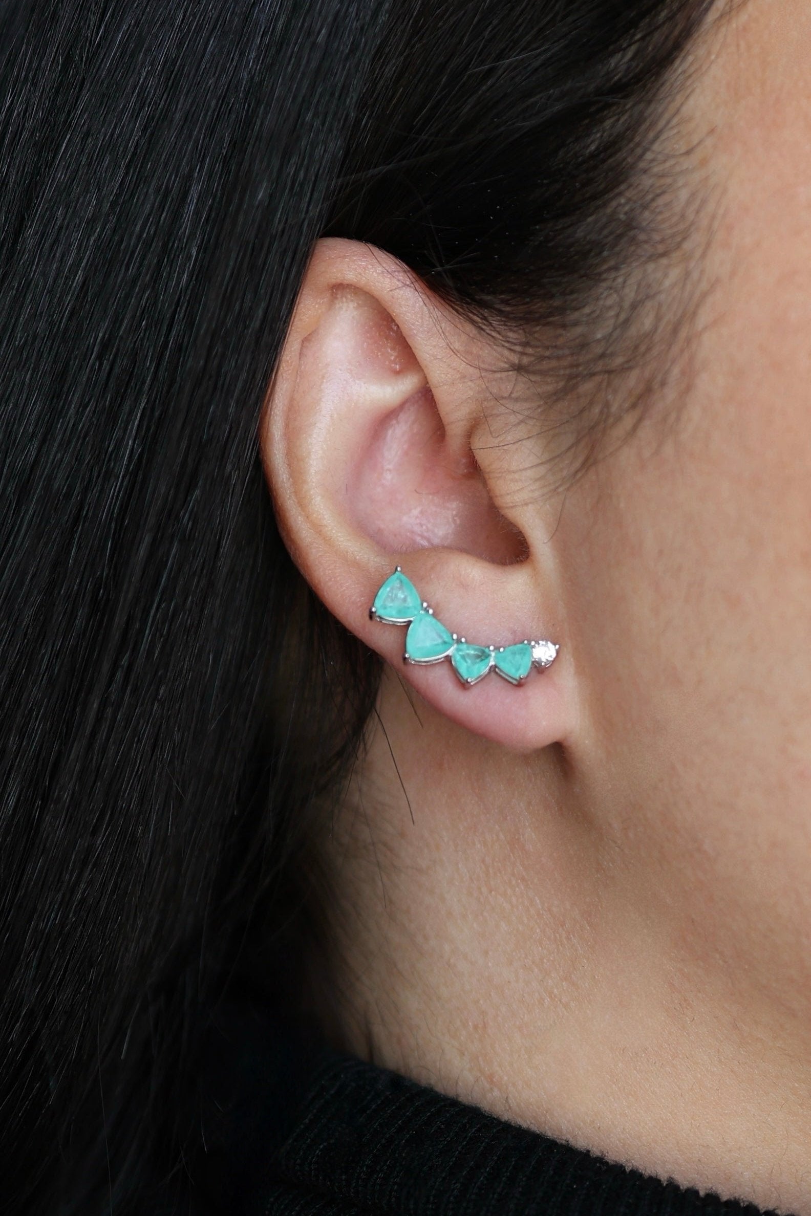 Ocean Triangle Ear Climbers